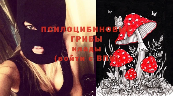хмурый Арсеньев