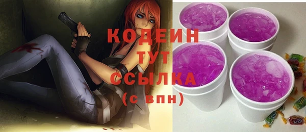 хмурый Арсеньев