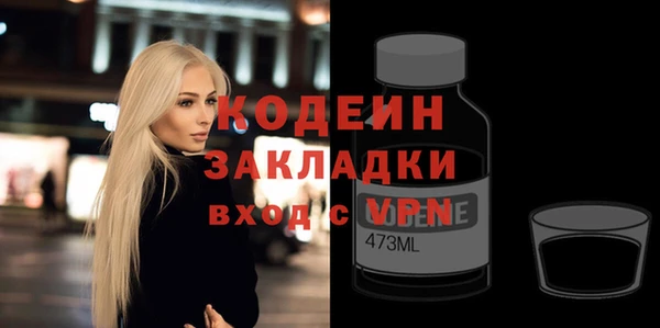 хмурый Арсеньев