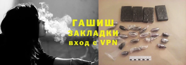 хмурый Арсеньев