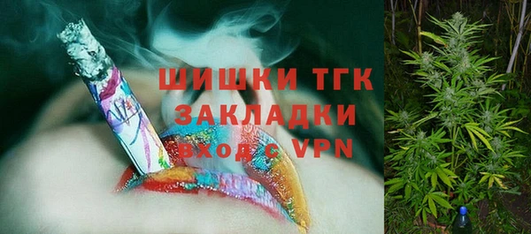 хмурый Арсеньев