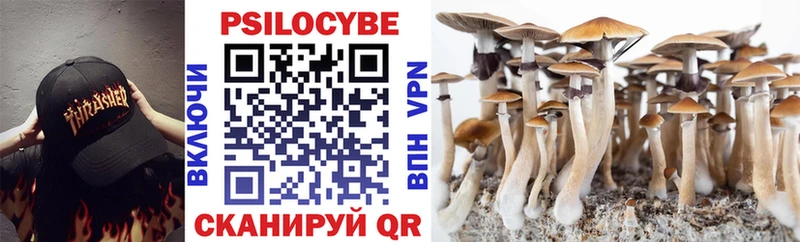 Галлюциногенные грибы Psilocybine cubensis  darknet формула  Гвардейск 